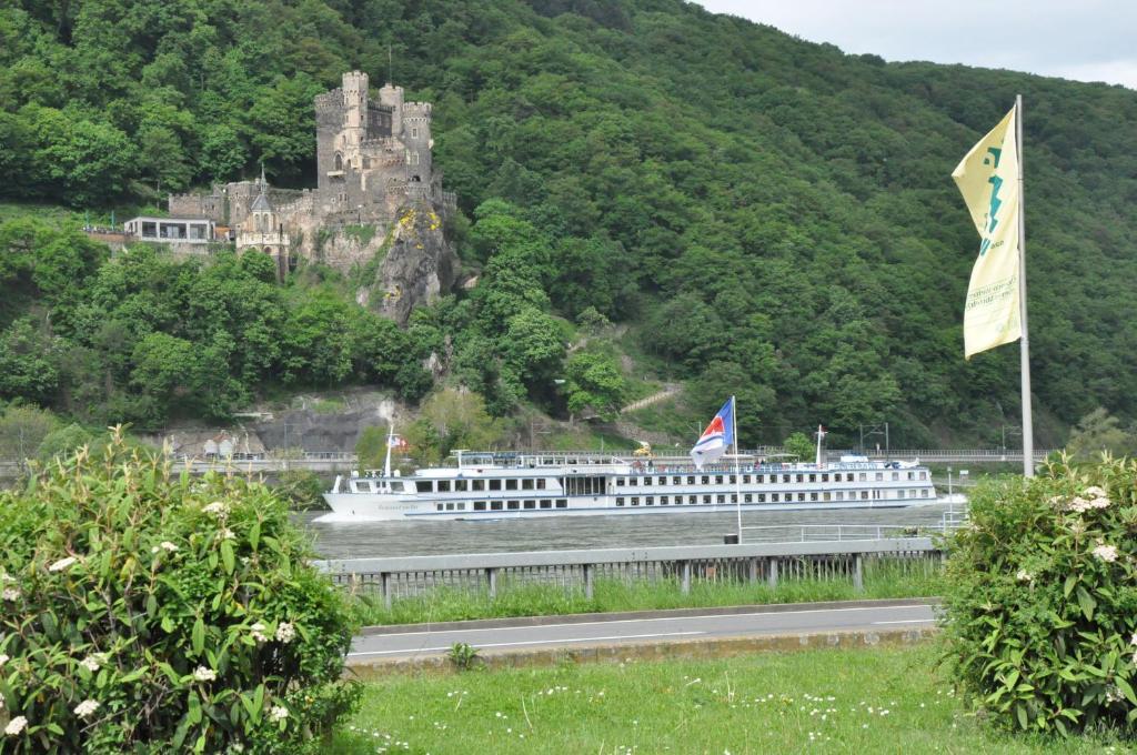 Hotel Rheinstein Рюдесхайм-на-Рейне Экстерьер фото